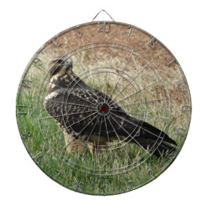 B52 Swainson's Hawk Dartboard
