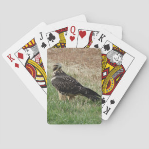 B52 Swainson's Hawk Playing Cards