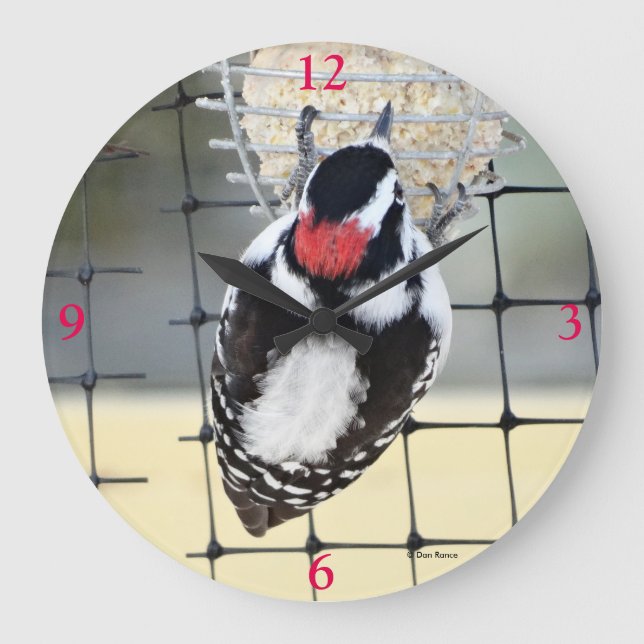 B53 Downy Woodpecker Large Clock (Front)