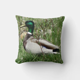 B55 Mallard Duck Drake Greenhead in the Grass Cushion