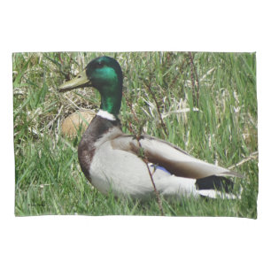 B55 Mallard Duck Drake Greenhead in the Grass Pillowcase