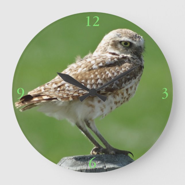 B56 Burrowing Owl Large Clock (Front)