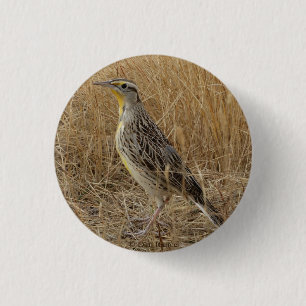 B57 Western Meadowlark 3 Cm Round Badge