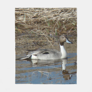 B5 Pintail Duck Drake Fleece Blanket