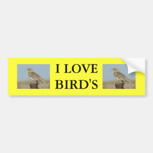 B6 Western Meadowlark Bumper Sticker