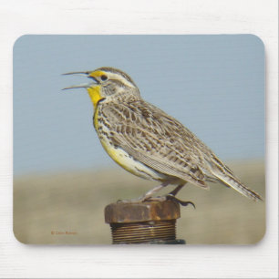 B6 Western Meadowlark Mouse Pad