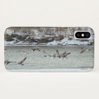 B7 Canadian Geese