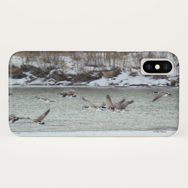 B7 Canadian Geese Case-Mate iPhone Case (Back (Horizontal))
