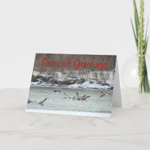 B7 Canadian Geese in Flight Holiday Card