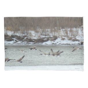 B7 Canadian Geese in Flight Pillowcase