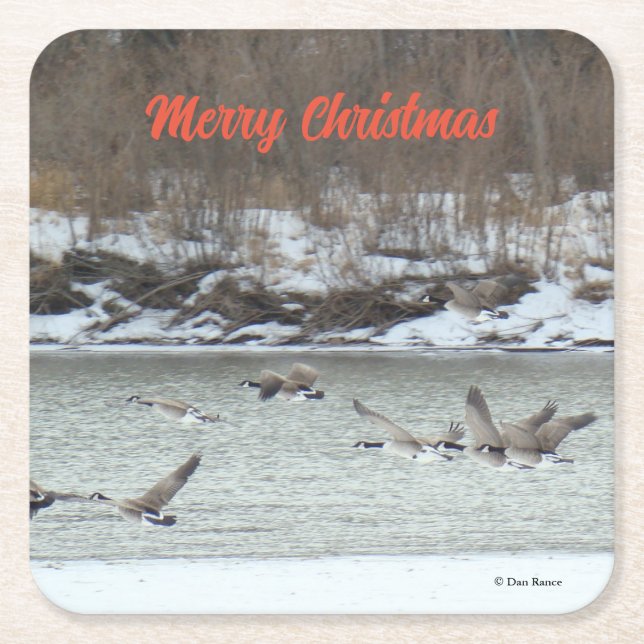 B7 Canadian Geese Over Winter River Square Paper Coaster (Front)