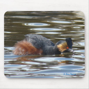 B8 Eared Grebe Courting Mouse Pad