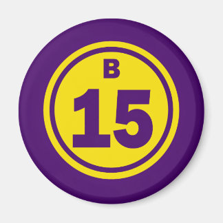 B-15 BINGO BALL MAGNET