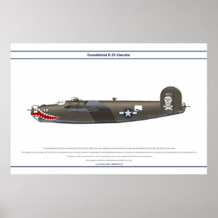 B-24J USA 90BG 1 POSTER