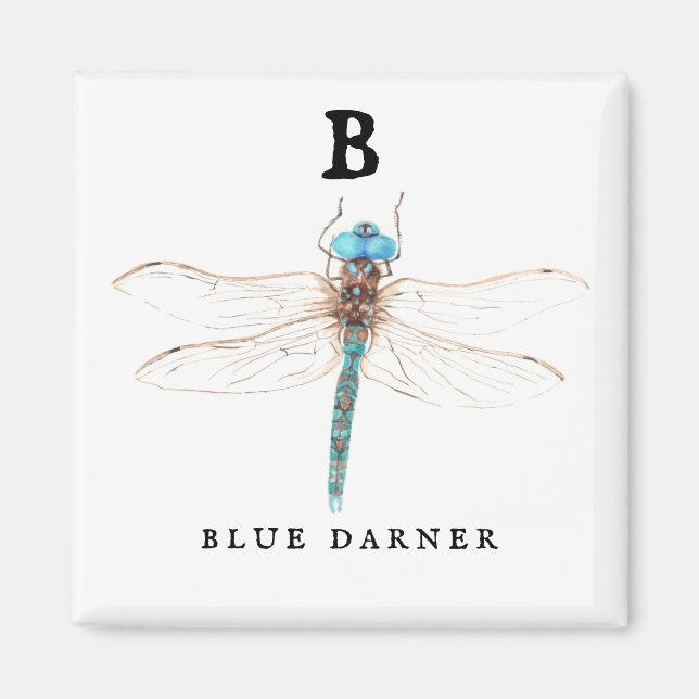 "B" Blue Darner  Magnet (Front)