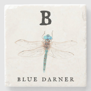 "B" Blue Darner Stone Coaster