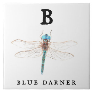 "B" Blue Darner  Tile