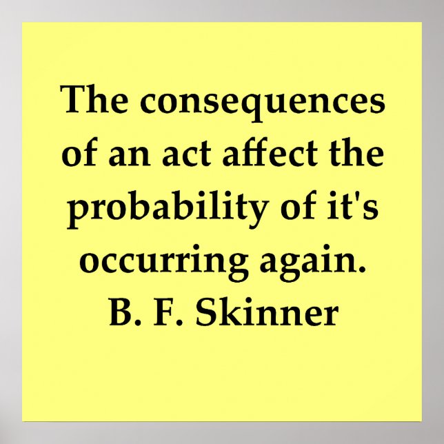 b f skinner quote poster (Front)