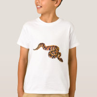 B is for Ball Python