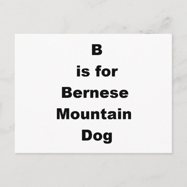b is for bernese mountain dog postcard (Front)