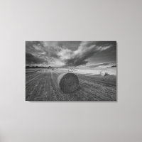 B&W Barley Field 2