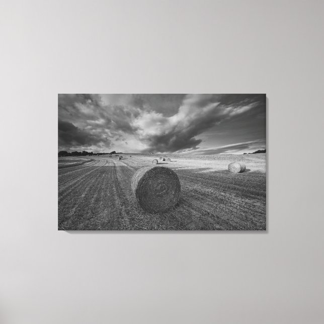 B&W Barley Field 2 Canvas Print (Front)