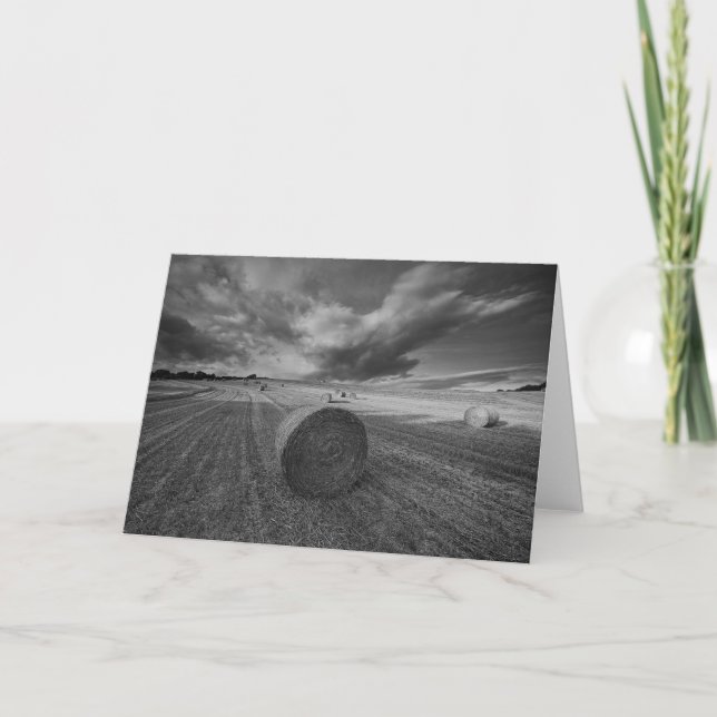 B&W Barley Field Card (Front)