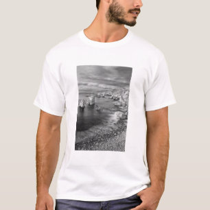 B&W beach coastline, California T-Shirt