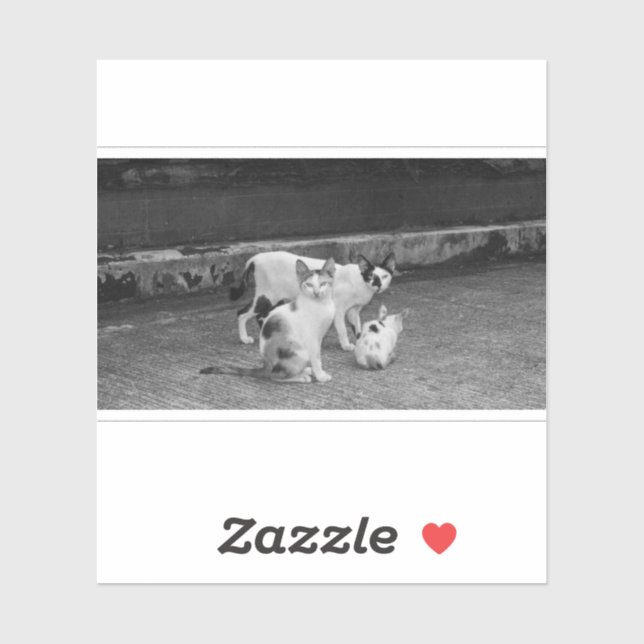 B&W -  Cats (Sheet)