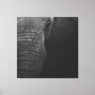 B&W Elephant Canvas Print