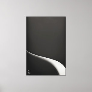 B&W, Experiments in suprematism series, Vol 1 Canvas Print