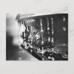 B&W Fountain Postcard