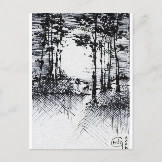 B&W Full Moon in the Forest Sketch Postcard (Front)