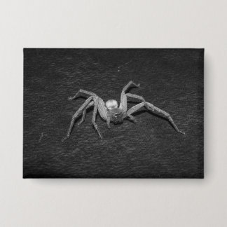 B&W_Huntsman Spider