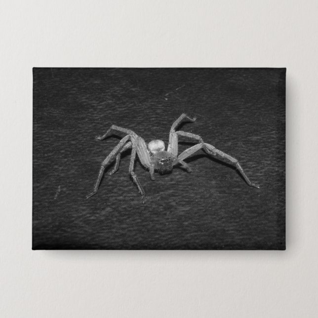 B&W_Huntsman Spider (Front)