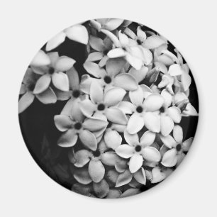 B&W MAGNET