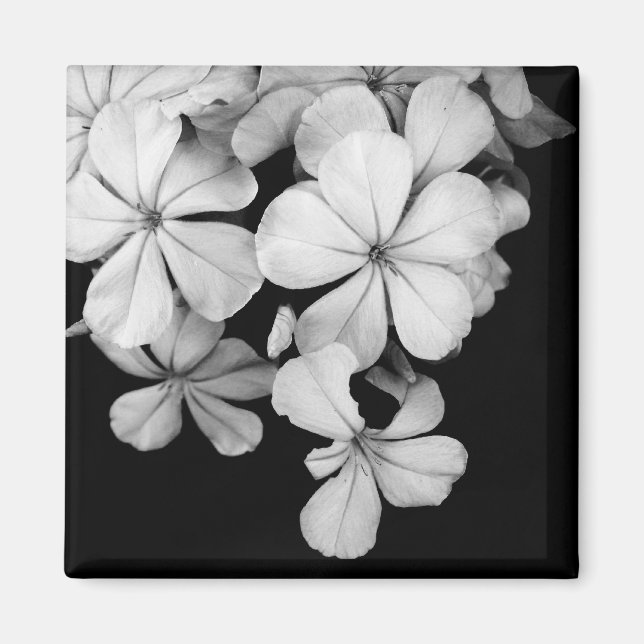 b&w magnet (Front)