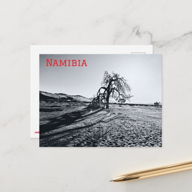 B+W Namib Desert Tree Postcard (Front/Back In Situ)