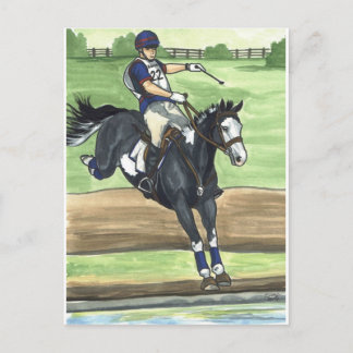 B&W Paint Horse XC into water Eventing Postcard
