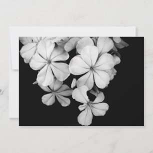 b&w postcard