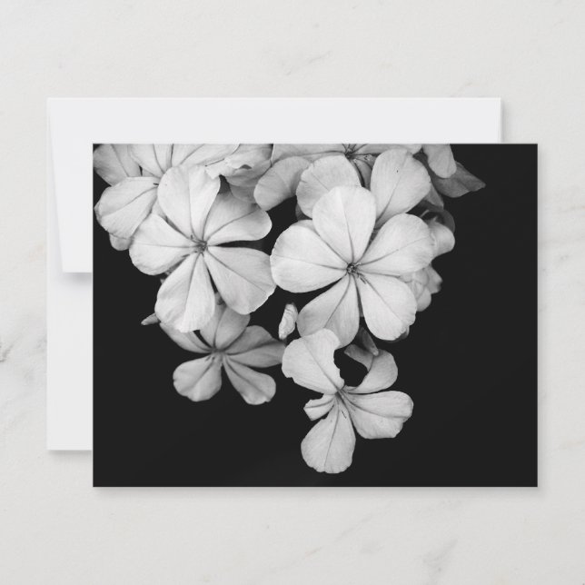 b&w postcard (Front)