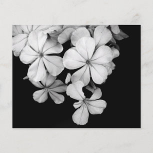 b&w postcard