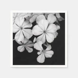 b&w postcard napkin
