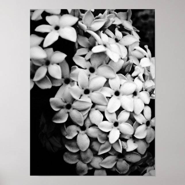 B&W POSTER (Front)