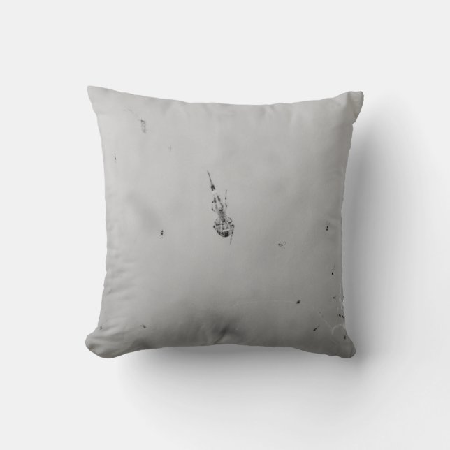 B&W - Spider and its Babies Cushion (Front)