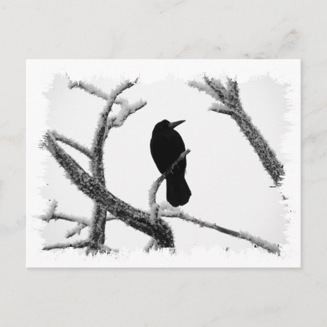 B&W Winter Raven Edgar Allan Poe Postcard (Front)