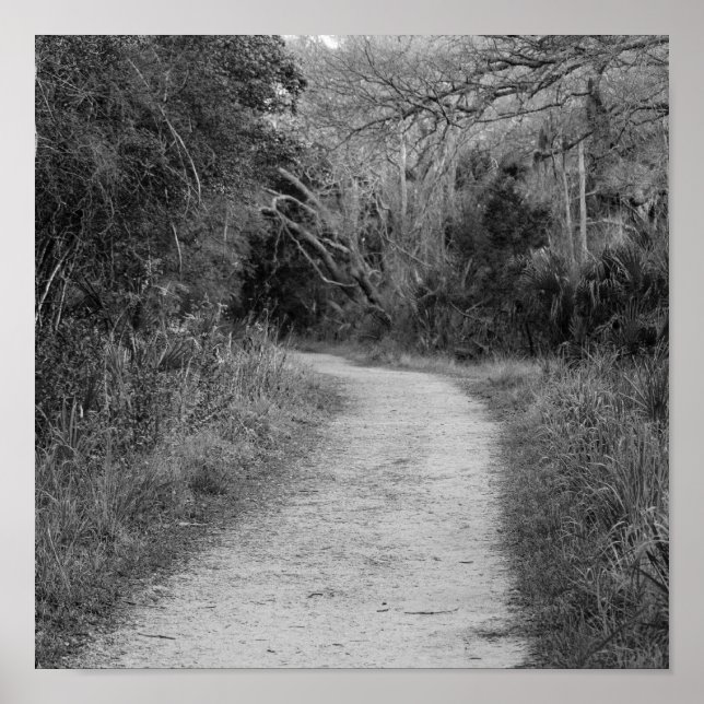 B&W Wooded Path Poster (Front)