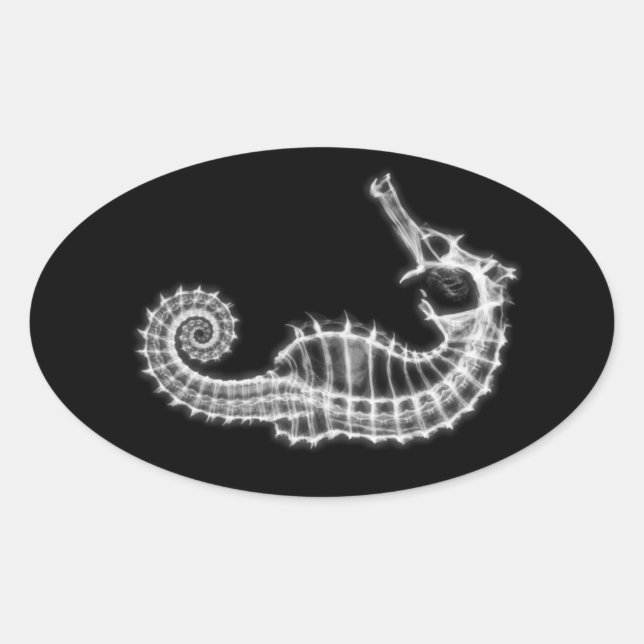 B&W X-Ray Vision Seahorse Skeleton Oval Sticker (Front)