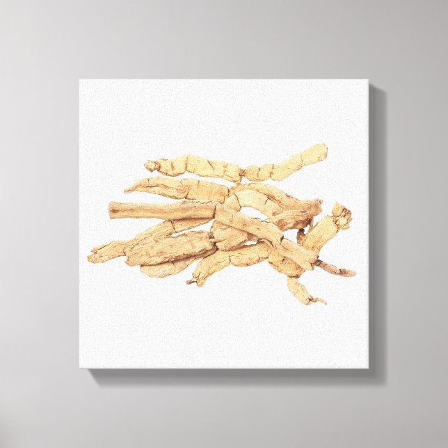 Ba Ji Tian Canvas Print (Front)