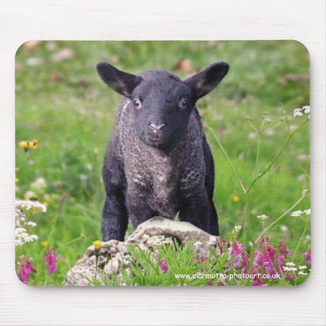 Baa-Baa Black Sheep Mousemat (Front)
